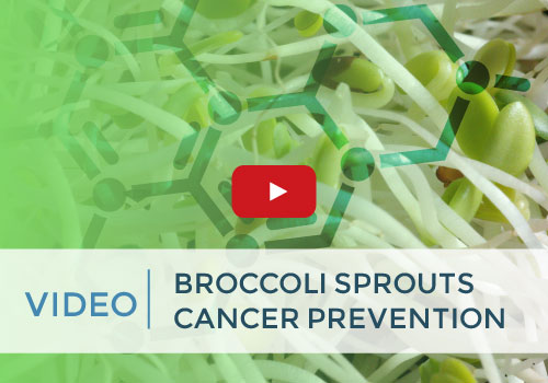 broccoli-sprouts-for-cancer-prevention-video