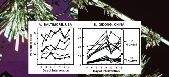 bioavailability chart