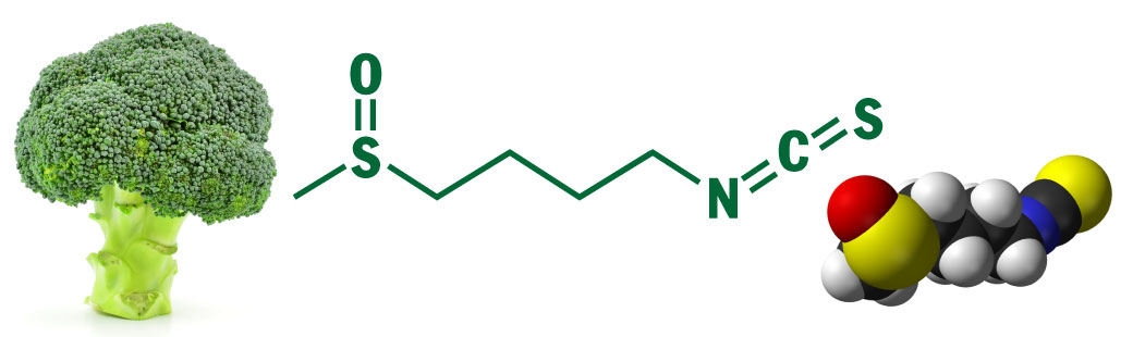 broccoli chemistry