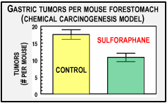 gastric tumors per mouse