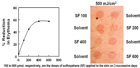 reduction in erythema chart