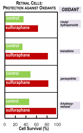 retinal cells protection against oxidants