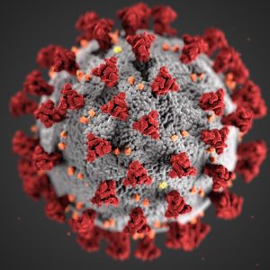 covid-19 virus